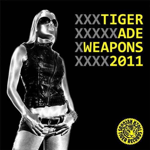 VA – Tiger ADE Weapons 2011