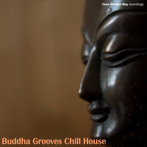 VA - Buddha Grooves Chill House