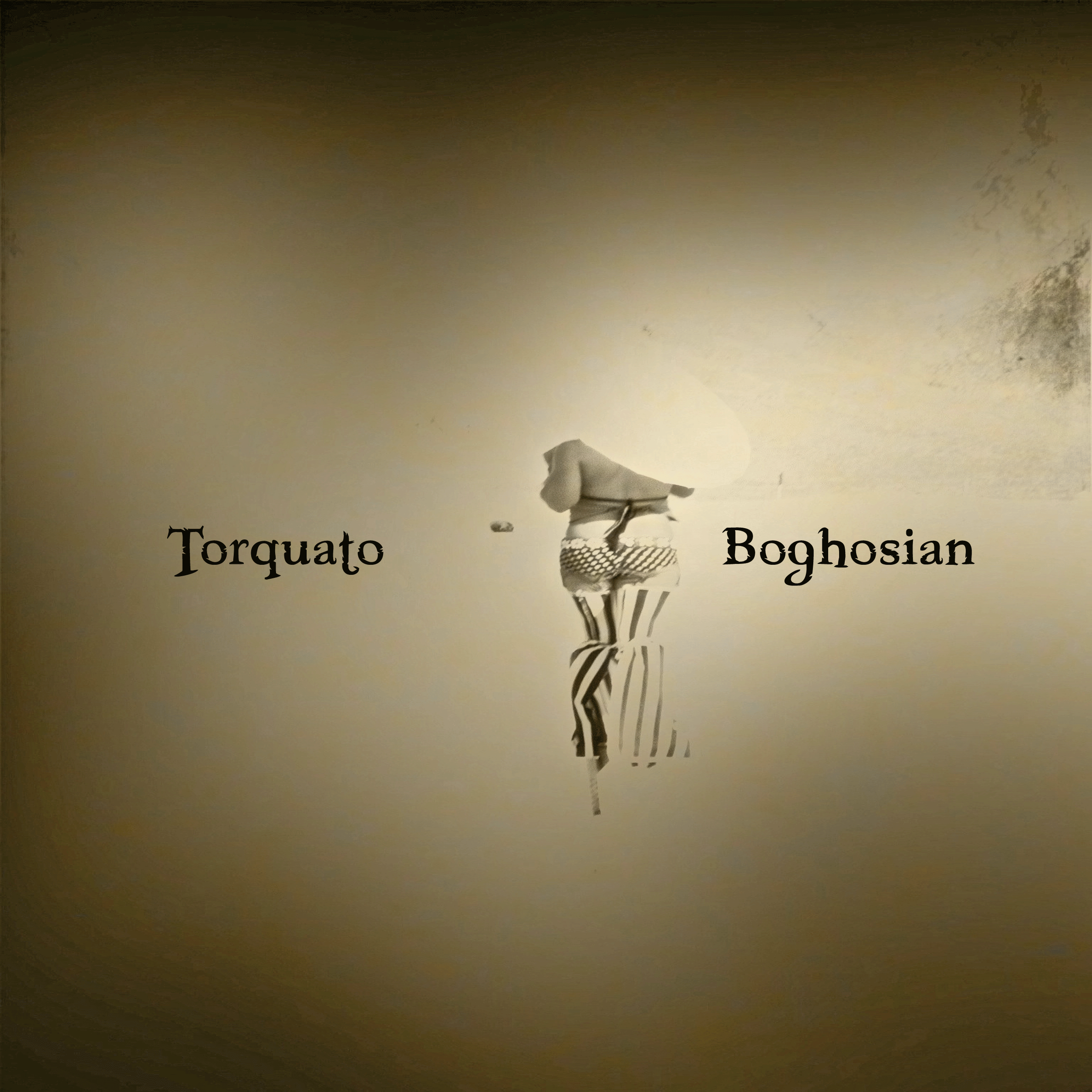Torquato & Boghosian - Torquato & Boghosian