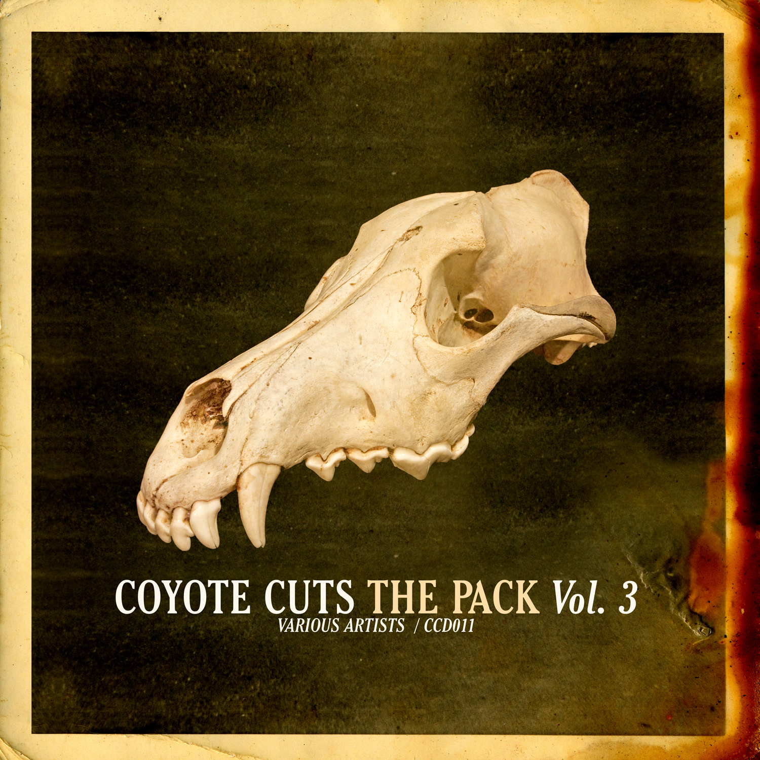 Various Artists - The Pack Vol. 3