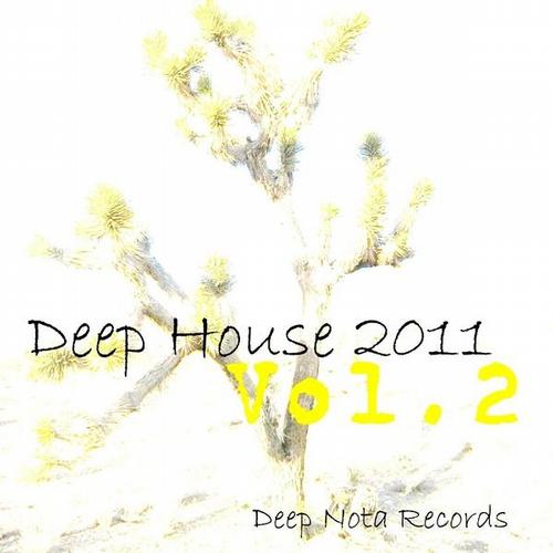 VA - Deep House 2011 - Vol.2