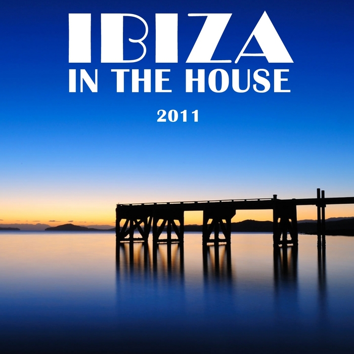 VA - Ibiza In the House 2011