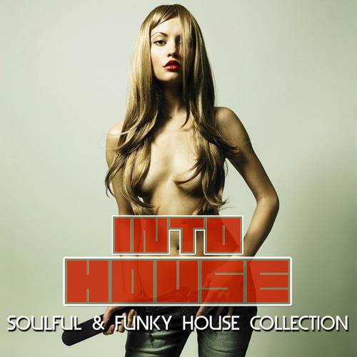 VA – Into House : Soulful & Funky House Collection 2011