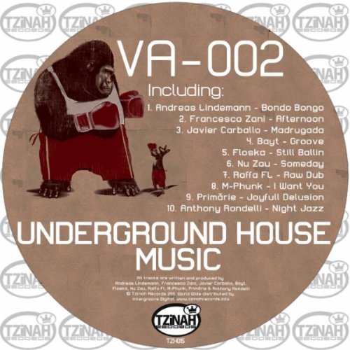 Various Artists - Underground House Music 002