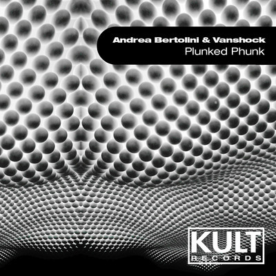 Andrea Bertolini & Vanshock - Plunked Phunk