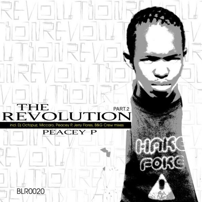 Peacey P - The Revolution Part 2