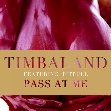 Timbaland Ft Pitbull - Pass At Me Remixes