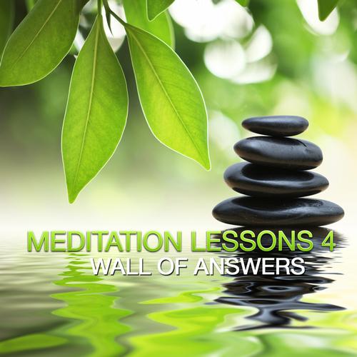 VA - Meditation Lesson 4 : Wall Of Answers