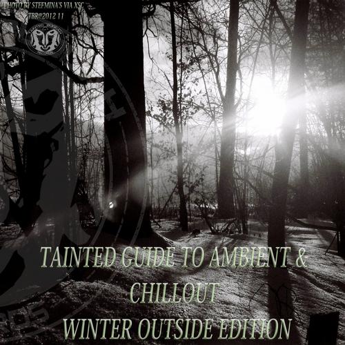 VA - Tainted Guide To Ambient & Chillout Winter Outside Edition