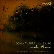 Don Navarra feat. Cairo - Like Rain