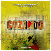 DJ Pippi & Fabio Genito - Gozando