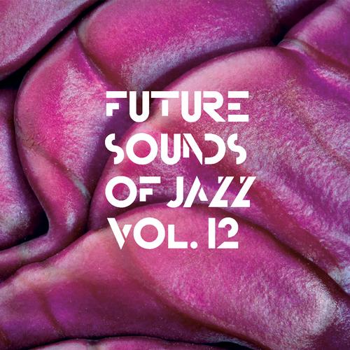 VA - Future Sounds Of Jazz Vol. 12