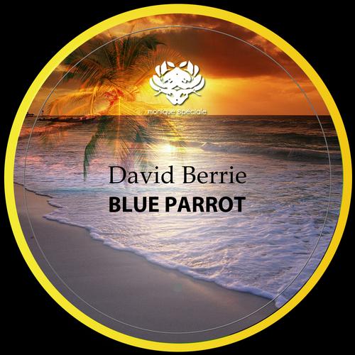 Craig Pettigrew, David Berrie - Blue Parrot