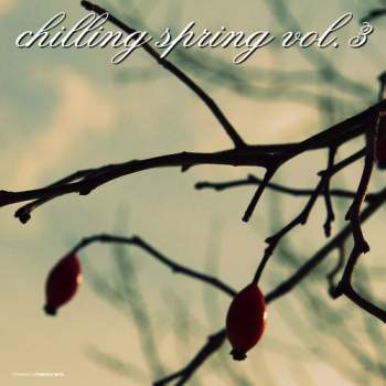 VA - Chilling Spring Vol. 3