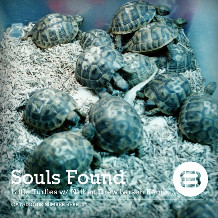 Souls Found - Little Turtles