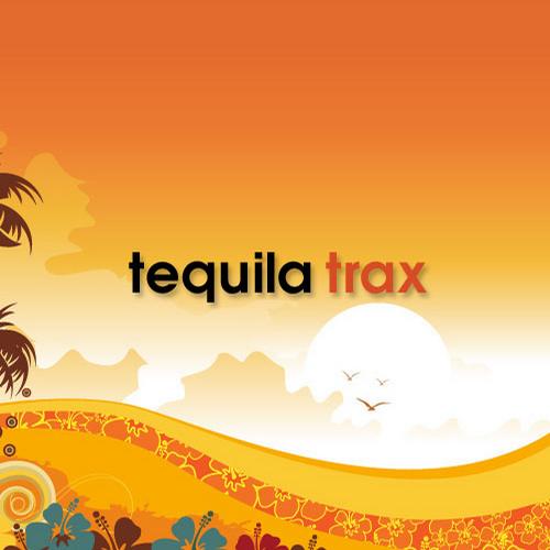 VA - Tequila Trax 2012 Spring Sampler