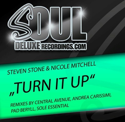 Steven Stone & Nicole Mitchell - Turn It Up