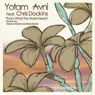 Yotam Avni feat. Chris Dockins - That's What The World Needs