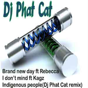 DJ Phat Cat - The Cat Walk Vol 1