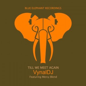 VynalDJ feat. Mercy Blend - Till We Meet Again