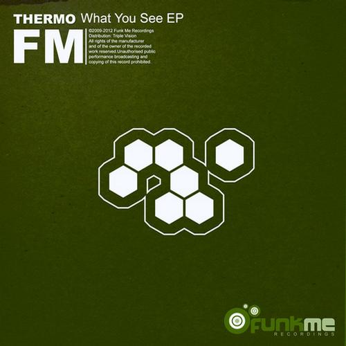 Thermo-What You See EP