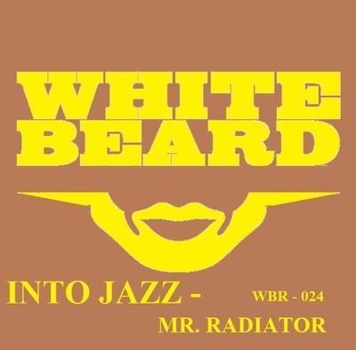 Mr. Radiator - Into Jazz (Incl. Milty Evans Remix)