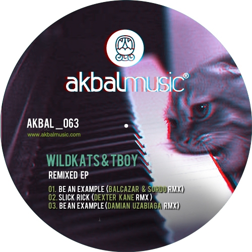 Wildkats, Tboy - Remixed EP