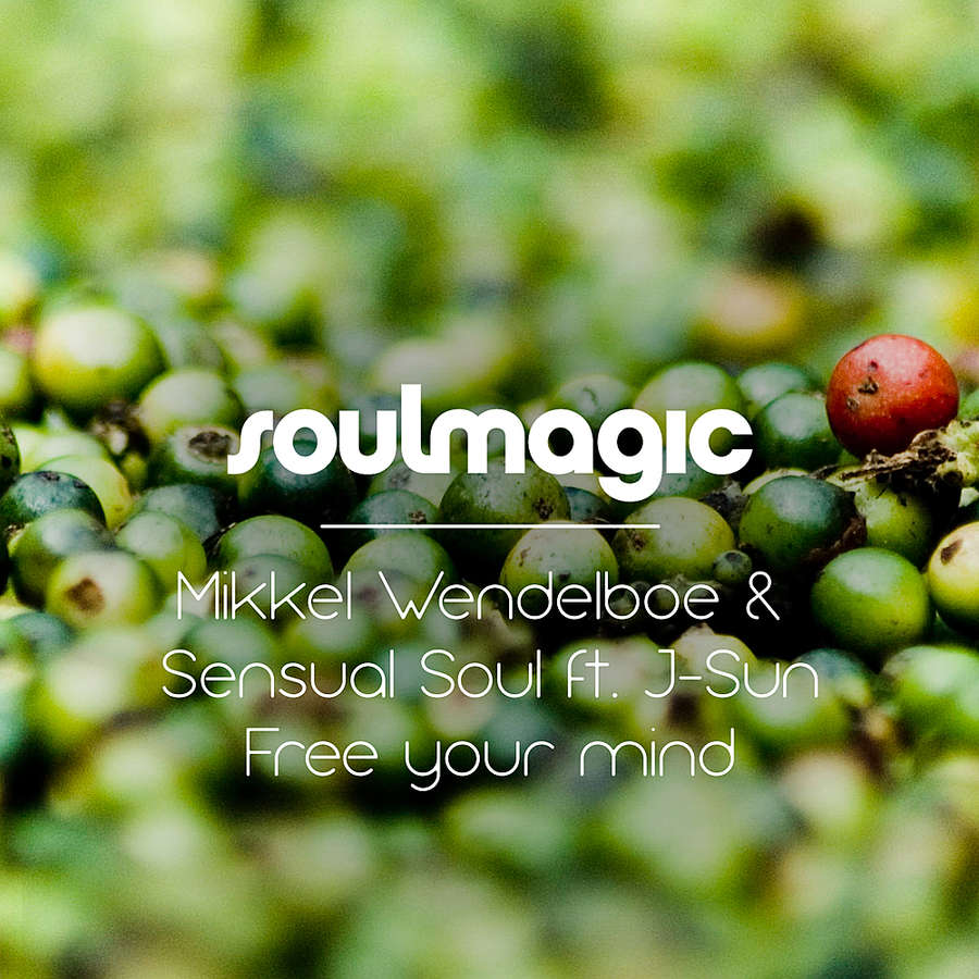 Mikkel Wendelboe, Sensual Soul - Free Your Mind feat J-Sun