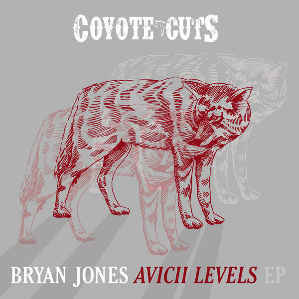 Bryan Jones - Avicii Levels EP