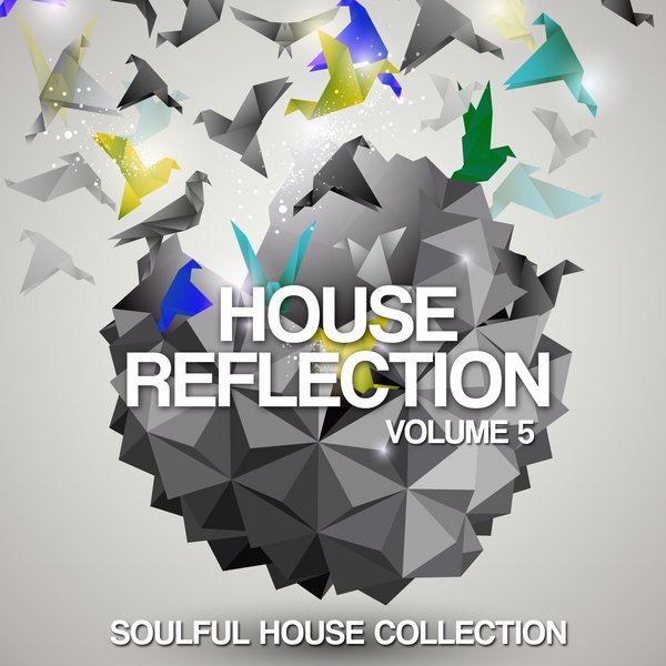 Various Artists - House Reflection, Vol. 5