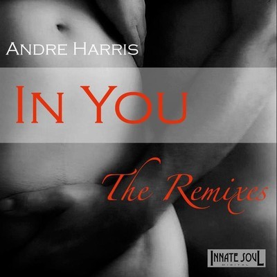 Andre Harris - In You (The Remixes)