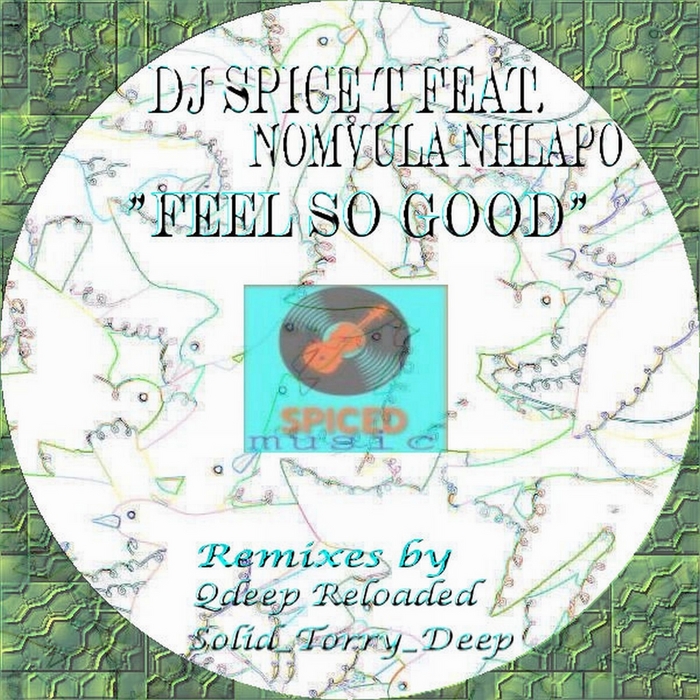 DJ Spice T, Nomvula Nhlapo - Feel So Good