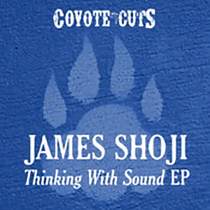 James Shoji - Thinking With Sound