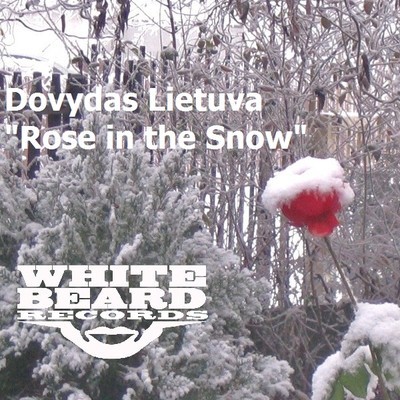 Dovydas Lietuva - Rose In The Snow