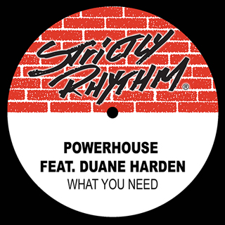 Powerhouse feat. Duane Harden-What You Need