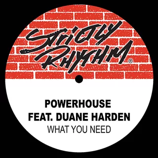Powerhouse feat. Duane Harden-What You Need