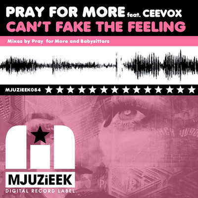 Pray For More feat Ceevox - Can't Fake The Feeling