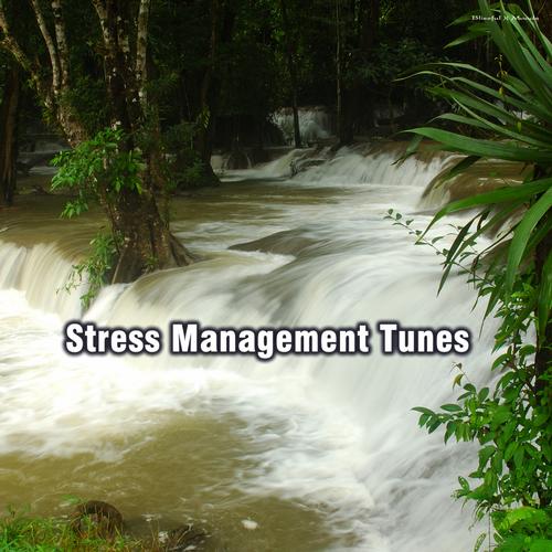 Stress Management Tunes