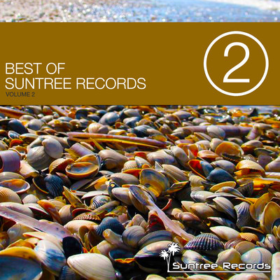 The Best Of Suntree Records Vol.2