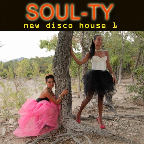 Soul-Ty-New Disco House 1