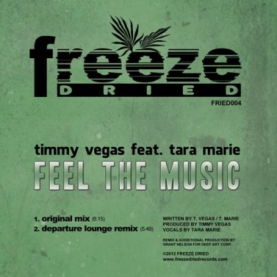 Timmy Vegas feat Tara Marie - Feel The Music