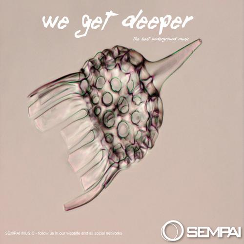 VA-We Get Deeper
