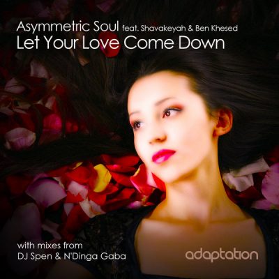 Asymmetric Soul - Let Your Love Come Down (DJ Spen & N'dinga Gaba Remix )