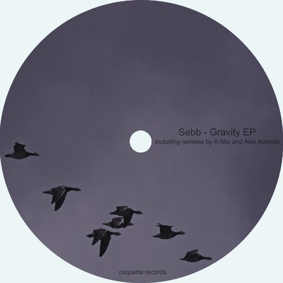 Sebb - Gravity