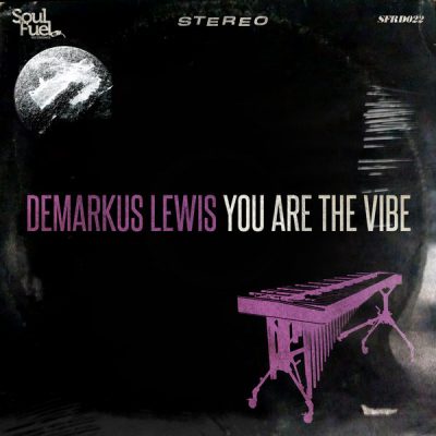 00-Demarkus Lewis-You Are The Vibe EP SFRD022-2013--Feelmusic.cc