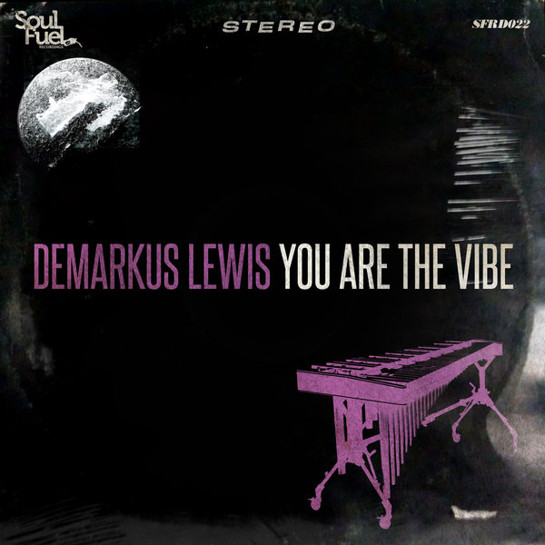 Demarkus Lewis - You Are The Vibe EP SFRD022