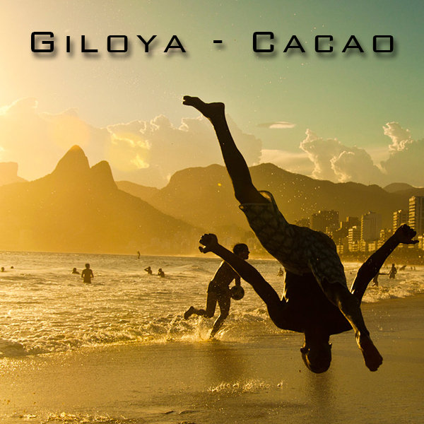 Giloya - Cacao