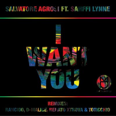 00-Salvatore Agrosi feat. Sahffi Lynne-I Want You DMR005 -2013--Feelmusic.cc
