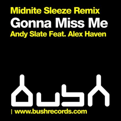 00-Andy Slate-Gonna Miss Me (Feat. Alex Haven) (Midnite Sleaze Mixes) BUSH3052-2013--Feelmusic.cc