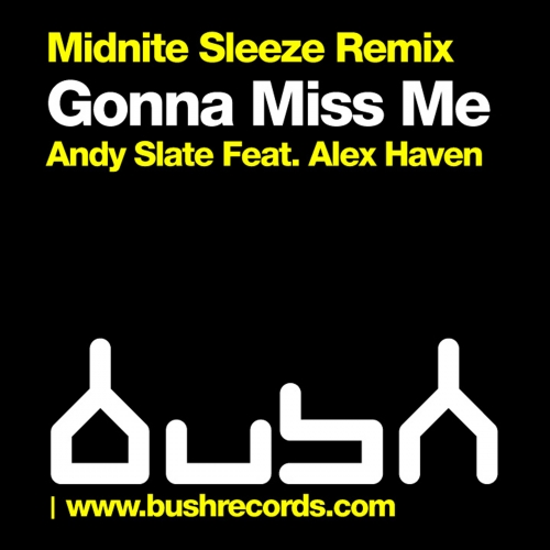 Andy Slate - Gonna Miss Me (Feat. Alex Haven) (Midnite Sleaze Mixes)